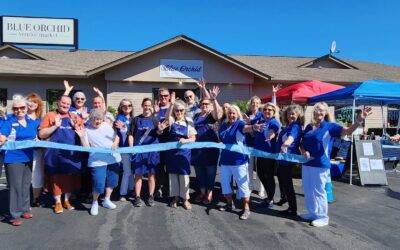 Blue Orchid First Anniversary